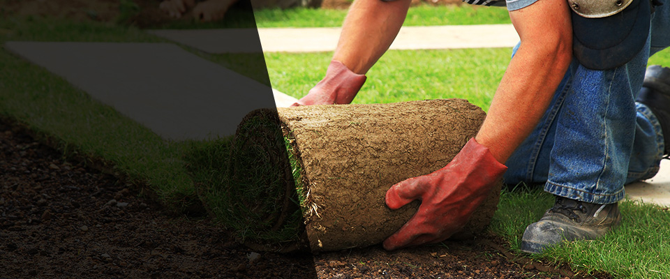 Harmony Landscapers